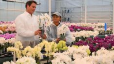 Alibaba’nın kurucusu Jack Ma ülkeden kaçmış