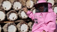 Arıcılıkla üç çocuğunu okuttu