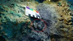 Arkeoloji dünyasını heyecanlandıran keşif: Tam 3 bin 600 yıllık…