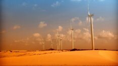 BAE ve Mısır’dan dünyanın en büyük rüzgar çiftliği anlaşması