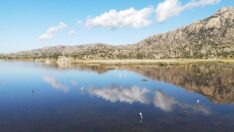 Bafa 261 kuş türü barındırıyor