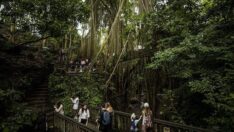 Bali Adası her yıl çok sayıda turist ağırlıyor