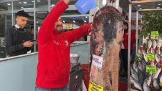 Balıkçıların ağına 2,5 metrelik yayın balığı takıldı