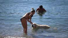 Bodrum’da kasımda deniz keyfi