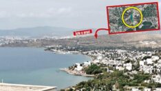 Bu ihale senin şerefine Emmoğlu!