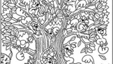 Bu illüzyon testi sosyal medyada gündem oldu: Siz timsahı bulabildiniz mi