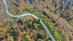 Çam Dağı’nda sonbahar güzelliği