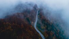 Çam Dağı’nda sonbahar renklerine ‘sis filtresi’