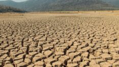 Çiftçilerden korkutan kuraklık uyarısı: Üretici pek çok ilde kışlık ekimi erteledi