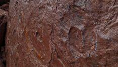 Çin’de dinozor ayak izleri bulundu