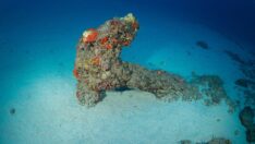 Doğu Akdeniz’de keşfedilen su altı mağarası görüntülendi