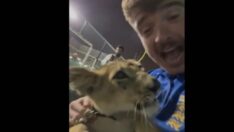 Dünya Kupası’nda çılgın gece: İngiliz taraftarlar şeyhin sarayında parti yaptı