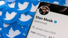 Elon Musk düğmeye bastı, Twitter çalışanlara bildirdi