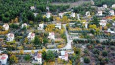 Emekliler köyü kurup doğal yaşama döndüler