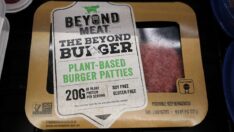 Et fabrikasından görüntüler şoke etti… Küf ve bakteriden geçilmiyor