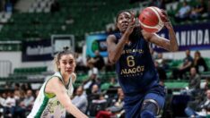 Fenerbahçe deplasmanda kazandı