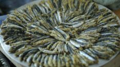 Hamsiyle ‘Ordu’ doyurdular