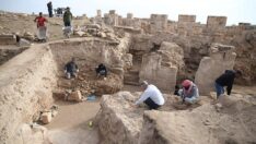 Harran’da sekiz asırlık medresenin yapıları gün yüzüne çıkarıldı
