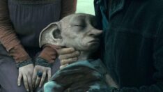 Harry Potter karakteri Dobby için çevrecilerden çağrı