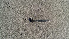 İstanbul’a su sağlayan barajlarda su seviyesi düştü