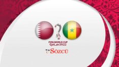 Katar Senegal canlı yayın (Dünya Kupası A Grubu)