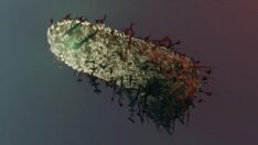 Kuduz tanısı konulan küçük çocukla ilgili son durumu belli oldu