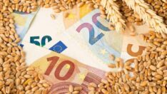 Küresel gıda fiyatları düşüşünü yedinci aya taşıdı