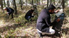 Mezar taşlarından tarihin izini sürmek için köy köy geziyorlar