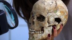 Mezopotamya sakinlerinin DNA’sını çıkardılar