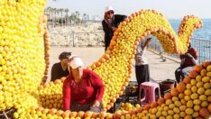 Narenciyeler, kadınların elinde figüre dönüşüyor