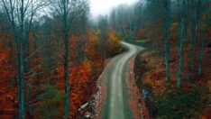 Nebiyan Dağı güz renkleriyle büyülüyor