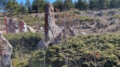 Profesör, Çorum’da buldu: Bir an önce koruma altına alınmadı