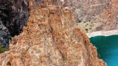 Sarp kayaların usta tırmanıcıları