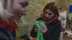 Savaşzede hayvanlar