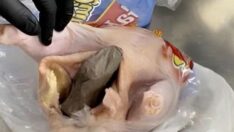 Silahı tavuğun içinde uçağa sokmaya çalıştı: O görüntüler gündem oldu