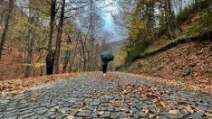 Sonbahar’ın Eşsiz Manzarası Yedigöller