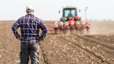 Tarım Bakanı müjde olarak duyurmuştu: Çiftçi o desteklerden yararlanamıyor