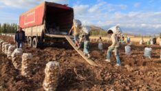 Tarımda üretici enflasyonunda yeni zirve