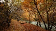 Tohma Kanyonu’na sonbaharın renkleri hakim oldu