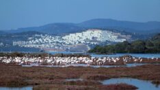 Tuzla Sulak Alanı misafirlerini ağırlamaya başladı