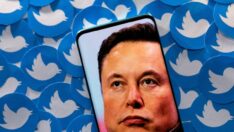 Twitter’da hareketlilik devam ediyor… Yeni özellik geliyor, uğruna Tesla hisseleri satılıyor