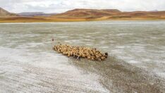 Van’daki Tuz Gölü kuraklık ve aşırı buharlaşma nedeniyle yeniden kurudu