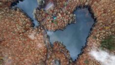 Yedigöller’de sonbahar güzelliği yaşanıyor