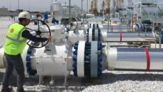 Zararın adresi Varlık Fonu