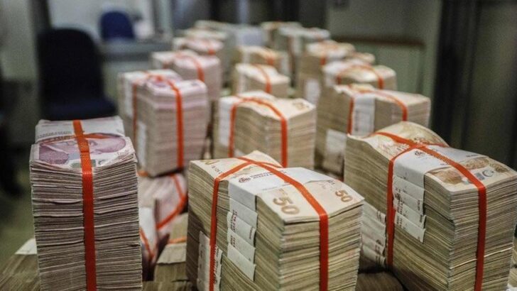 13 ildeki bazı taşınmazlar özelleştirilecek