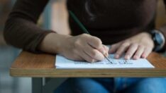 ALES sonuçları açıklandı mı, ne zaman açıklanacak?