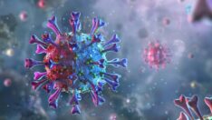 Bilim dünyası şaşkın… Covid, kanseri iyileştirebilir mi?