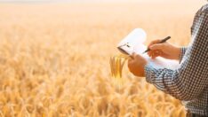 Çiftlik Muhasebe Veri Ağı’na dahil olanlara katılım desteği verilecek