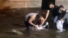 Dev yayın balıklarını elleriyle yakaladılar