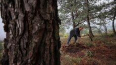 Emekli oldu ama ormandan kopmadı